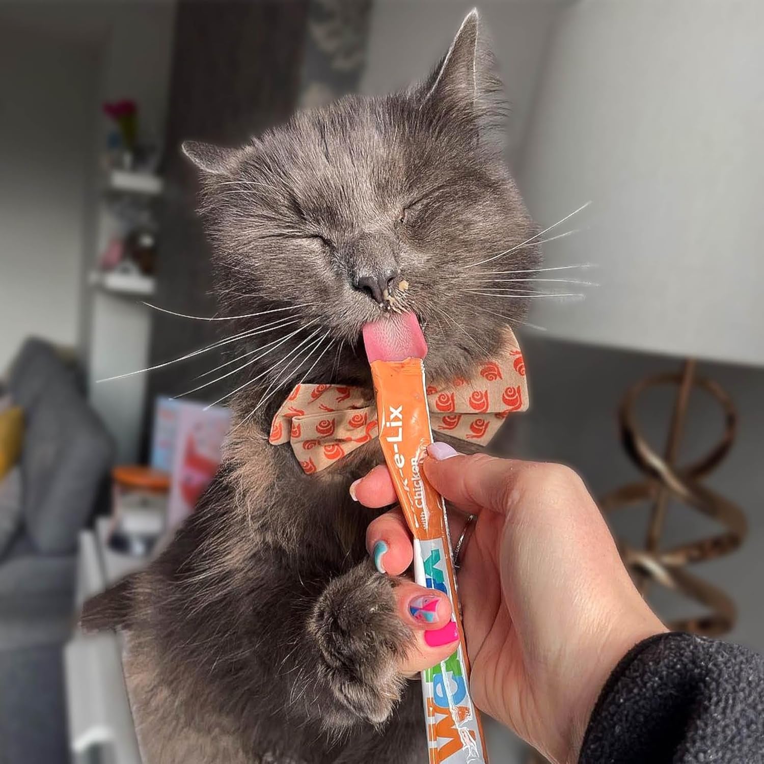 Webbox Lick-E-Lix Cat Treats Variety Value Pack - Kitten Friendly, Grain Free, No Artificial Preservatives or Colours (50 Pack)