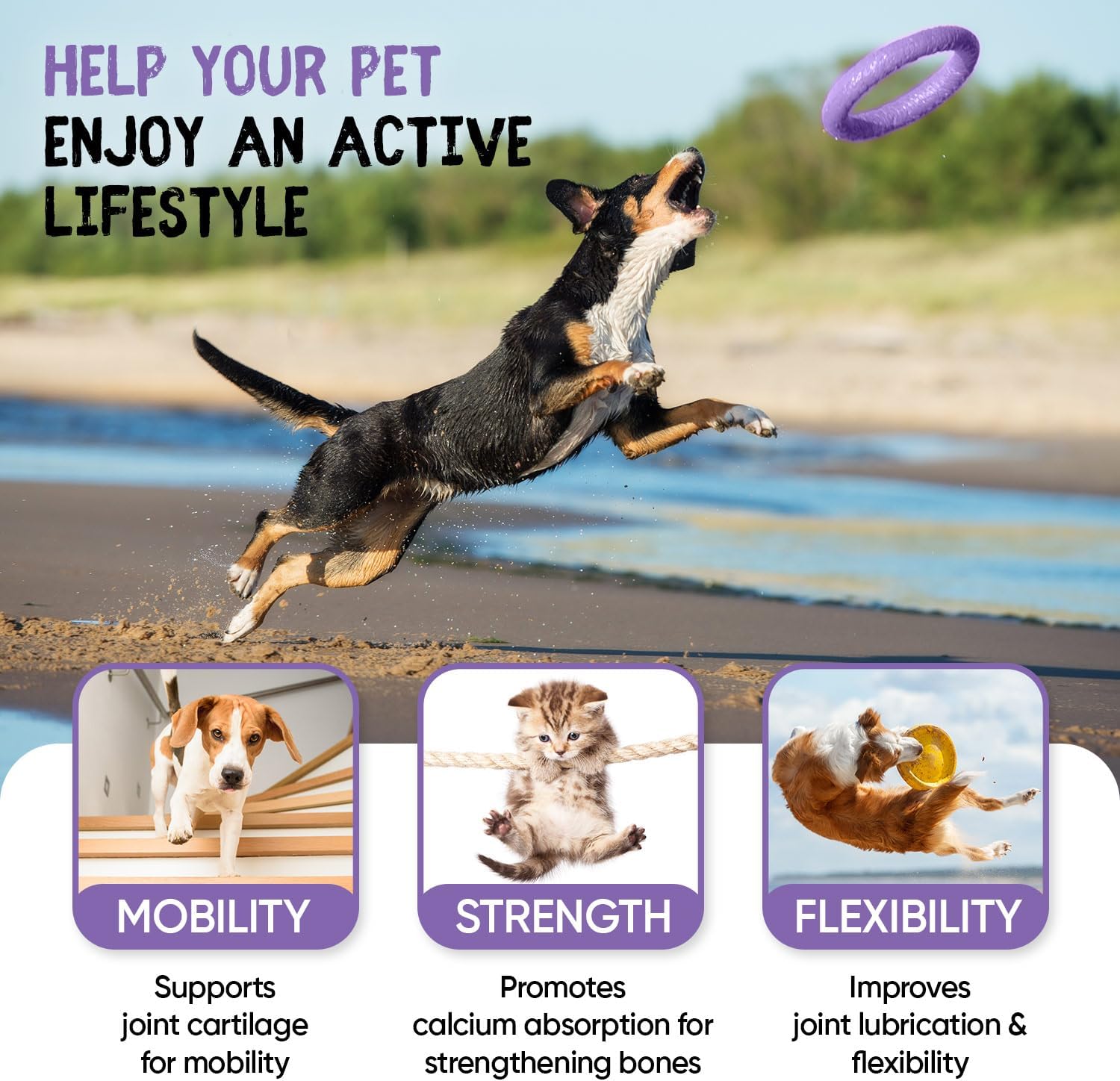 Animigo Glucosamine for Dogs & Cats with Chondroitin (1075Mg) - 180 Capsules - Hip & Joint Supplement for Dogs & Cats of All Ages - with Turmeric, Ginger, Vitamin C & Rosehip - Cats & Dogs Joint Care