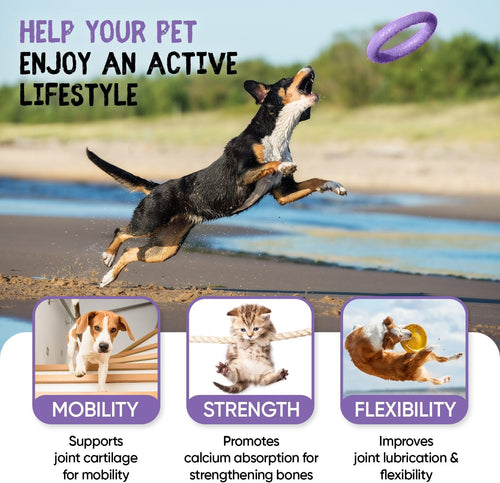 Animigo Glucosamine for Dogs & Cats with Chondroitin (1075Mg) - 180 Capsules - Hip & Joint Supplement for Dogs & Cats of All Ages - with Turmeric, Ginger, Vitamin C & Rosehip - Cats & Dogs Joint Care