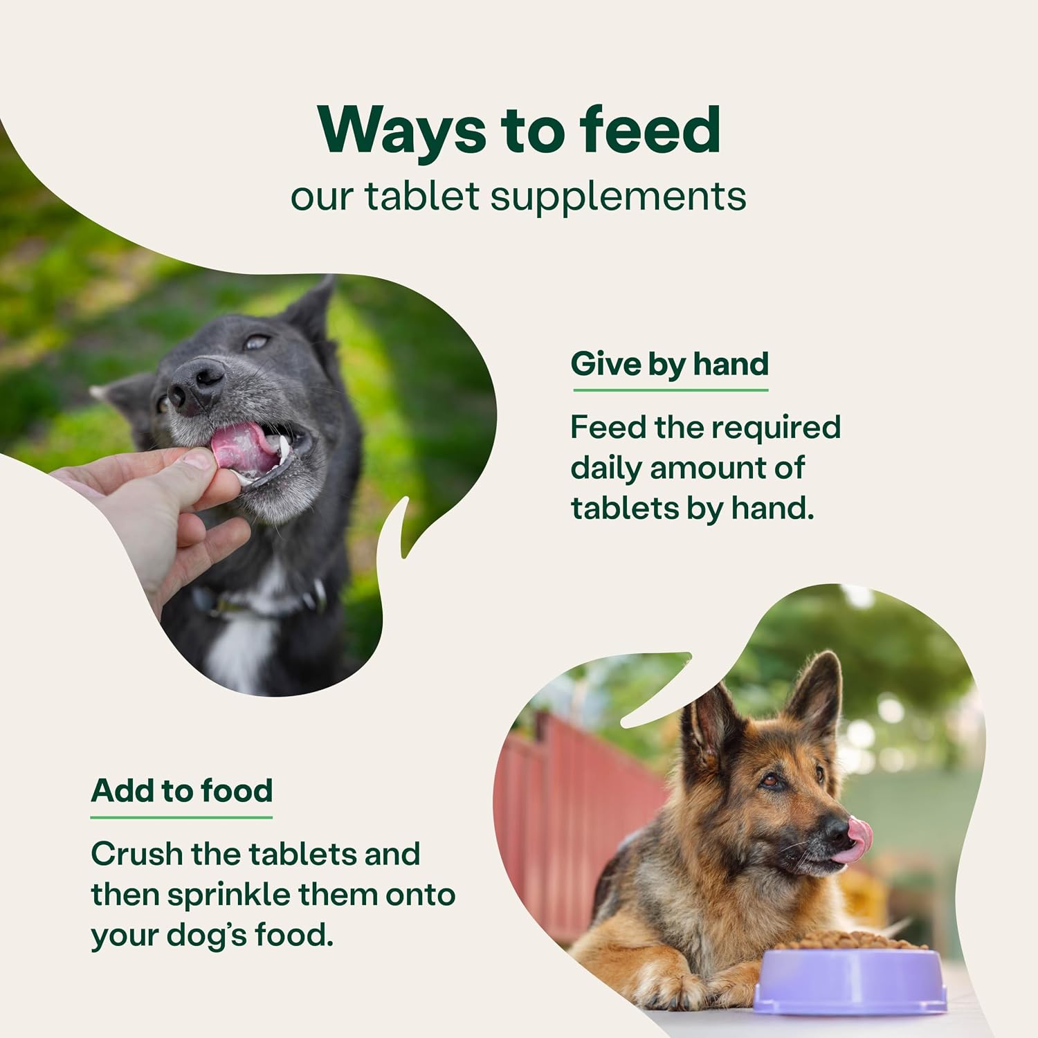Yumove Joint Supplement for Dogs, Essential Dog Hip and Joint Support for Adult Dogs with Glucosamine, Chondroitin, Green Lipped Mussel, Aged 6 to 8, 120 Tablets