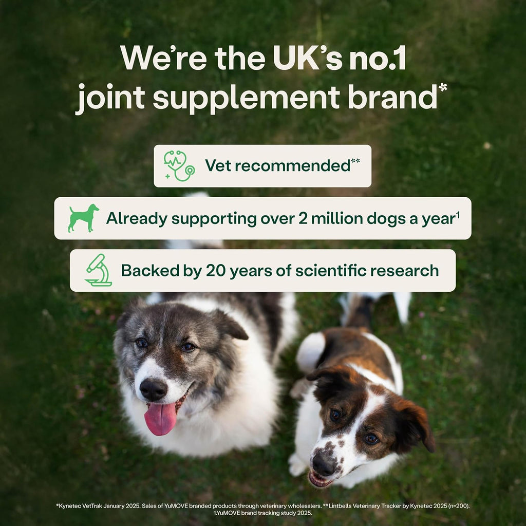 Yumove Joint Supplement for Dogs, Essential Dog Hip and Joint Support for Adult Dogs with Glucosamine, Chondroitin, Green Lipped Mussel, Aged 6 to 8, 120 Tablets