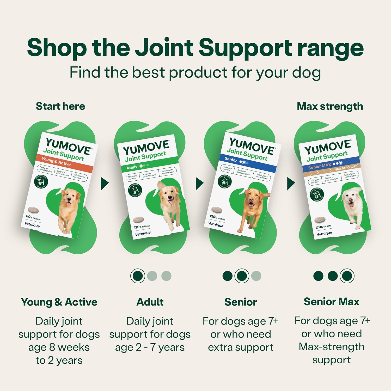 Yumove Joint Supplement for Dogs, Essential Dog Hip and Joint Support for Adult Dogs with Glucosamine, Chondroitin, Green Lipped Mussel, Aged 6 to 8, 120 Tablets