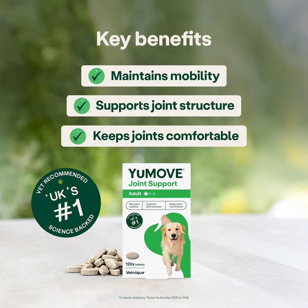 Yumove Joint Supplement for Dogs, Essential Dog Hip and Joint Support for Adult Dogs with Glucosamine, Chondroitin, Green Lipped Mussel, Aged 6 to 8, 120 Tablets