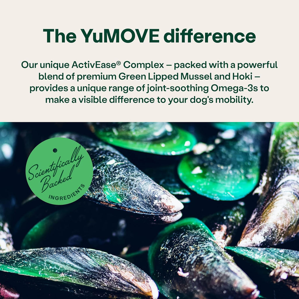 Yumove Joint Supplement for Dogs, Essential Dog Hip and Joint Support for Adult Dogs with Glucosamine, Chondroitin, Green Lipped Mussel, Aged 6 to 8, 120 Tablets