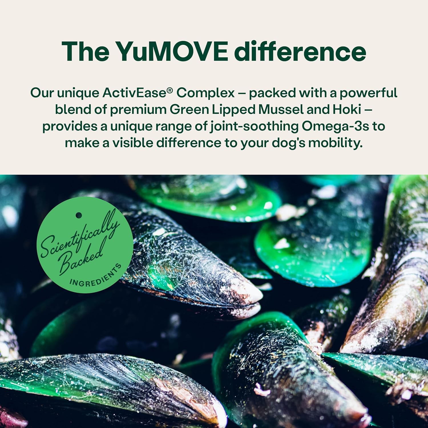 Yumove Joint Supplement for Dogs, Essential Dog Hip and Joint Support for Adult Dogs with Glucosamine, Chondroitin, Green Lipped Mussel, Aged 6 to 8, 120 Tablets